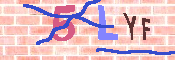 キャプチャ画像